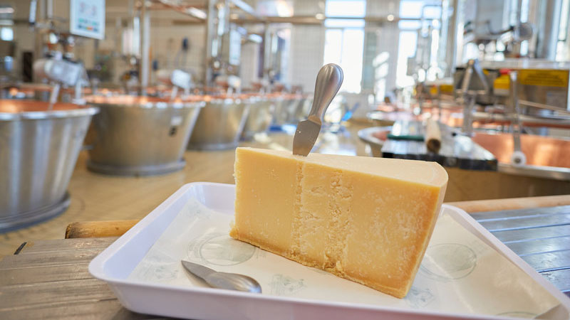 Il Parmigiano Reggiano