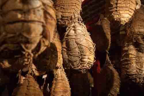 Ciclabile del Culatello